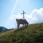 Апартаменты La Beccaccia Бачено