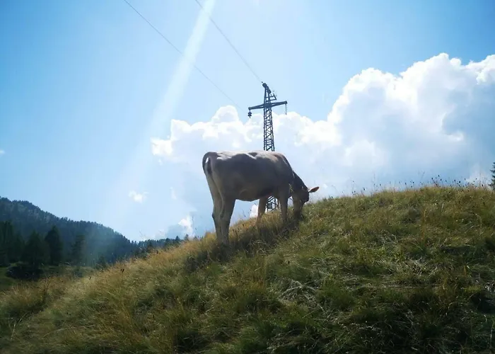 Apartmán La Beccaccia Baceno